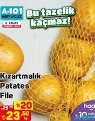 KIZARTMALIK PATATES FİLE